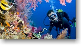 Grand Cayman Scuba Diving Packages